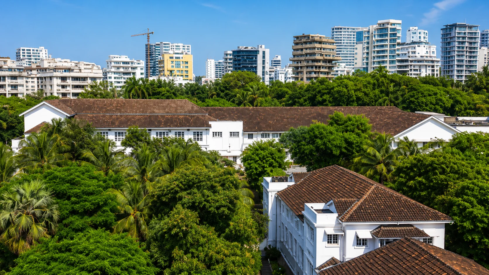 Island Cove – Mahim image 3